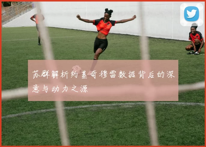 苏群解析约基奇穆雷数据背后的深意与动力之源